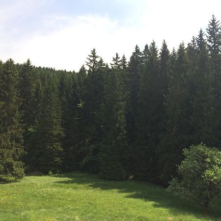 Appartements Und Ferienhaus Gasthof Kanzlersgrund Oberhof  Eksteriør bilde