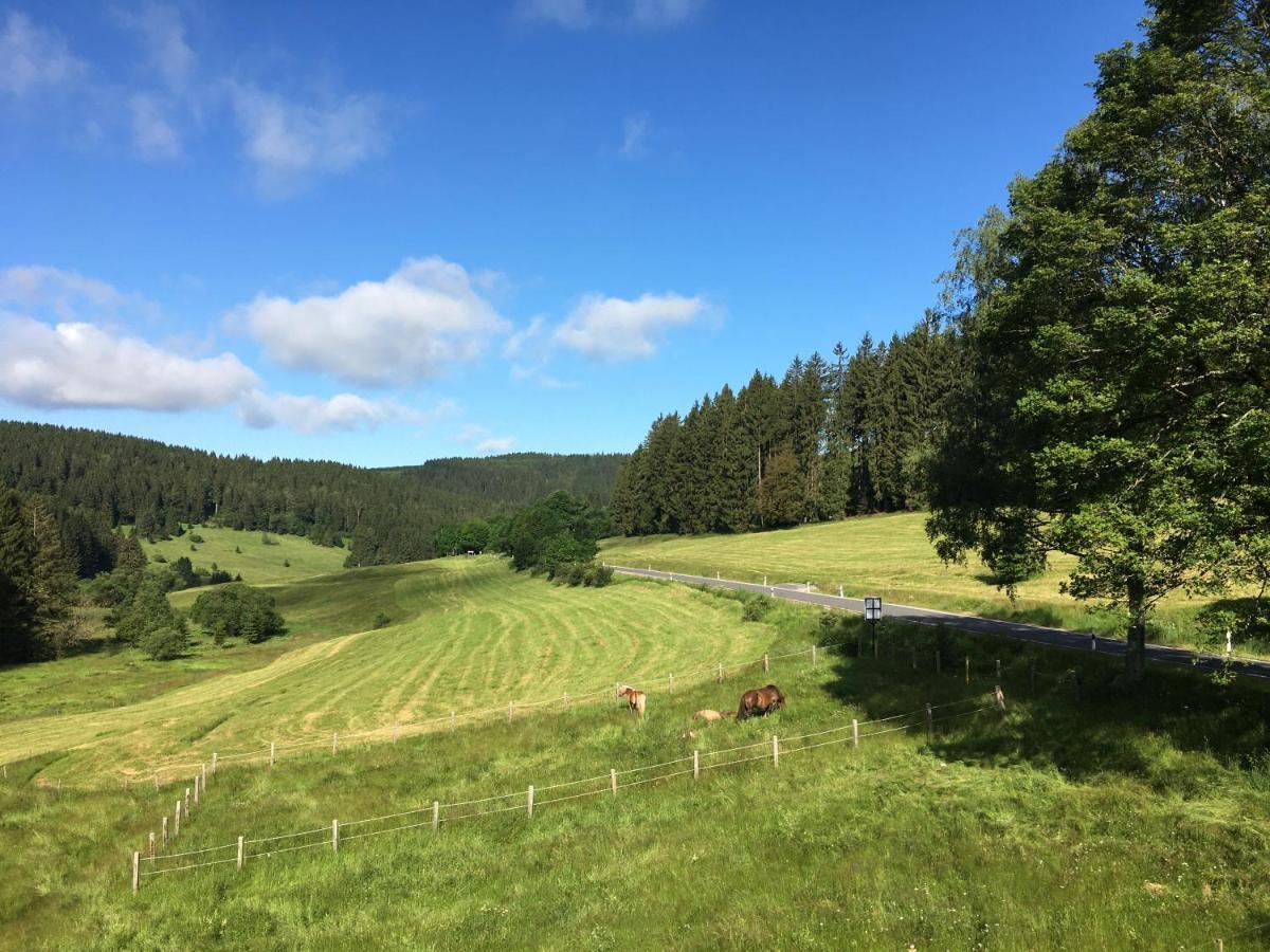 Appartements Und Ferienhaus Gasthof Kanzlersgrund Oberhof  Eksteriør bilde