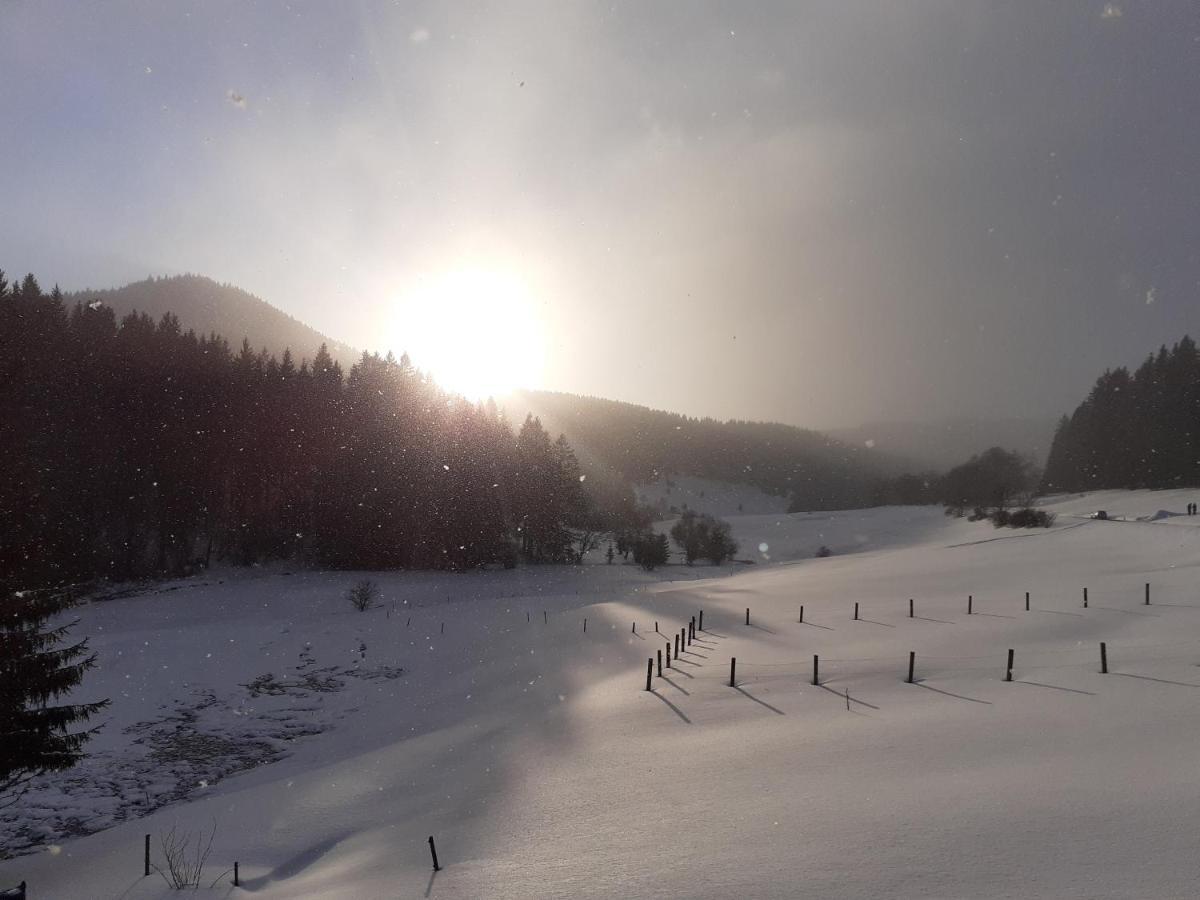 Appartements Und Ferienhaus Gasthof Kanzlersgrund Oberhof  Eksteriør bilde