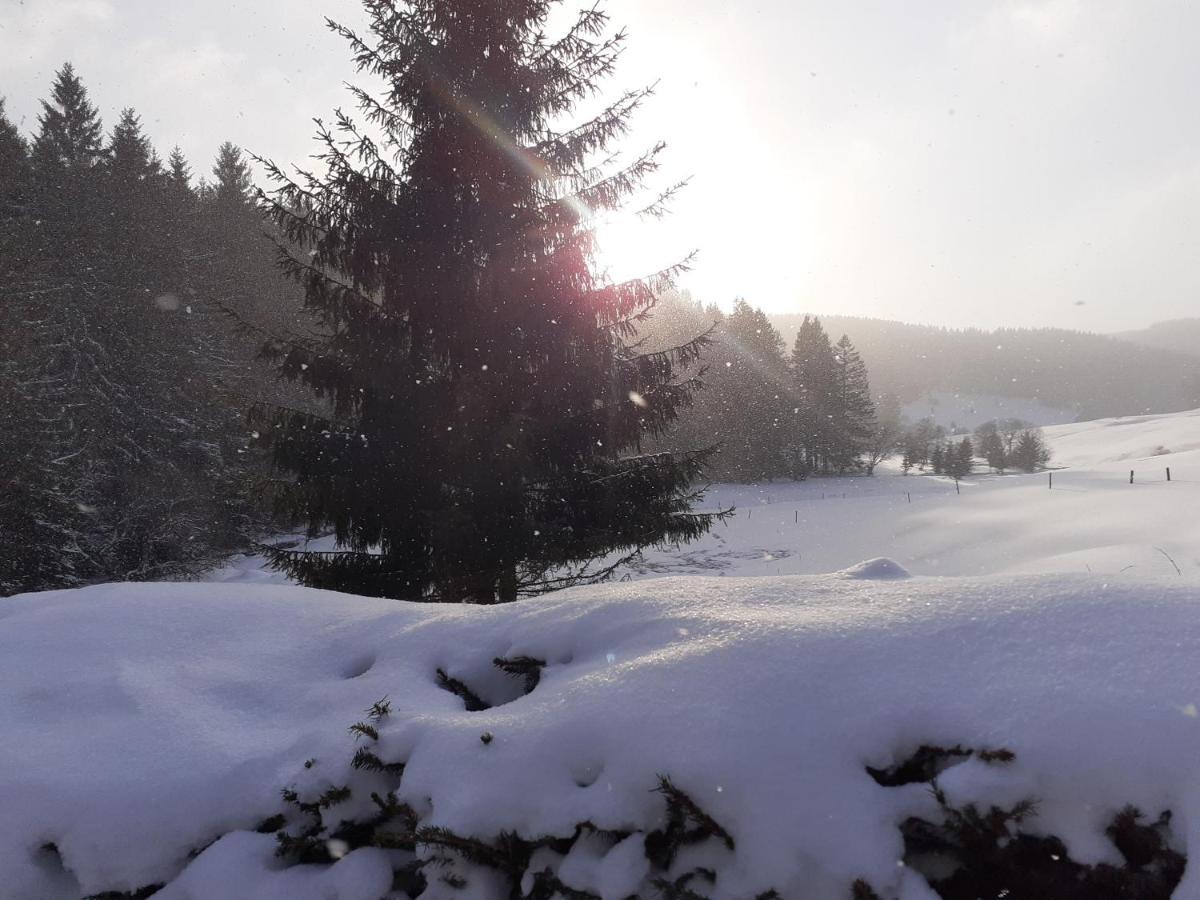 Appartements Und Ferienhaus Gasthof Kanzlersgrund Oberhof  Eksteriør bilde