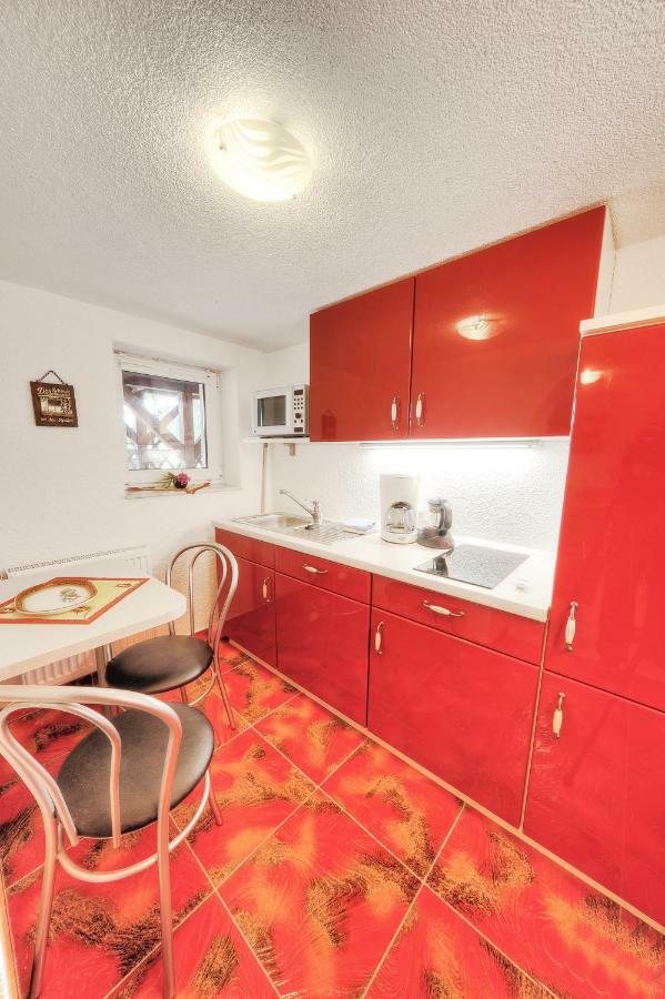 Appartements Und Ferienhaus Gasthof Kanzlersgrund Oberhof  Eksteriør bilde