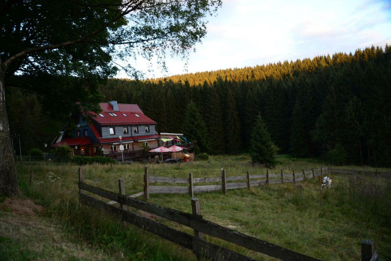 Appartements Und Ferienhaus Gasthof Kanzlersgrund Oberhof  Eksteriør bilde