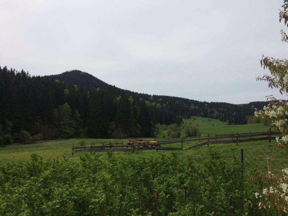 Appartements Und Ferienhaus Gasthof Kanzlersgrund Oberhof  Eksteriør bilde